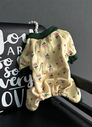Комбінезон для собак