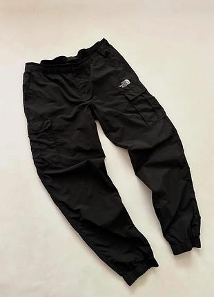 Спортивные штаны мужские the north face
