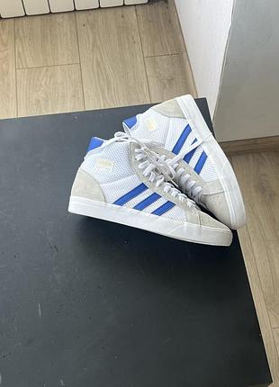 Кросівки adidas 3