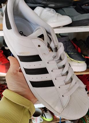 Adidas superstar оригігал