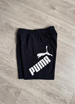 Оригінальні шорти puma