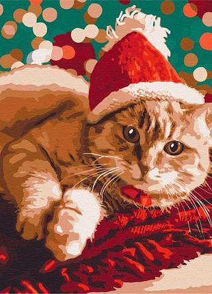Картина по номерам санта котик кот