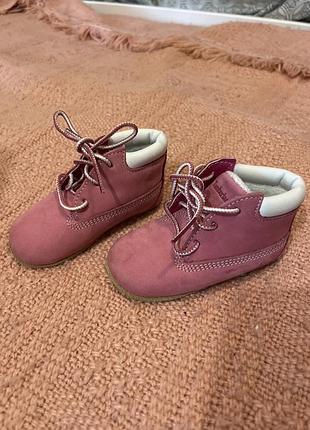 Взуття timberland