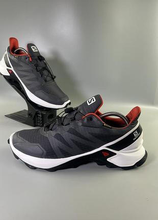 Кросівки salomon