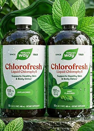Chlorofresh сша жидкий хлорофилл, 473,2 мл, хлорофил, хлорофреш