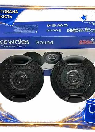 Dm автомобільні динаміки carwales специфікація 2.2 sound 10см 250w коаксіальні колонки для авто якісне spe|lz