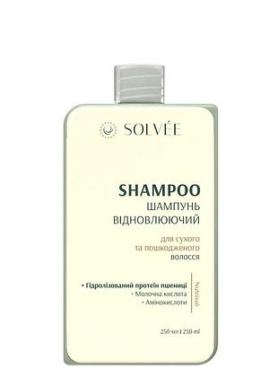 Solvee - шампунь відновлюючий для сухого та пошкодженого волосся nutrisse shampoo (250 мл)