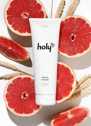 Holy - освіжаючий шампунь refresh shampoo (250 мл)