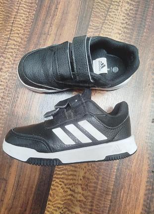 Кросівки кеди adidas