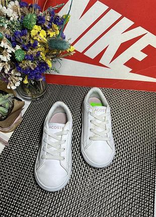 Кроссовки lacoste 6