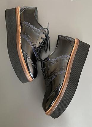Tods 🔥🖤 броги туфлі шкіра