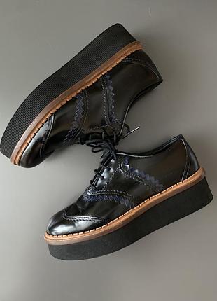 Tods 🔥🖤 броги туфлі шкіра