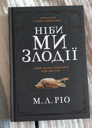 Книга как будто мы злоумышленники