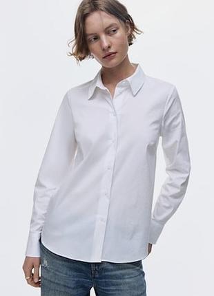Классическая белая рубашка h&m (размер l)