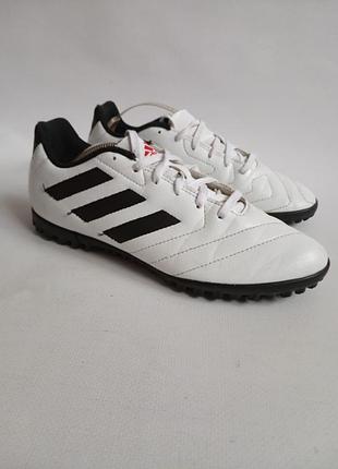Сороконожки adidas