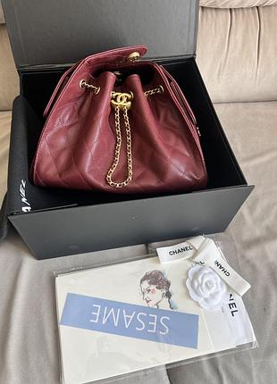Chanel hobo 25 small