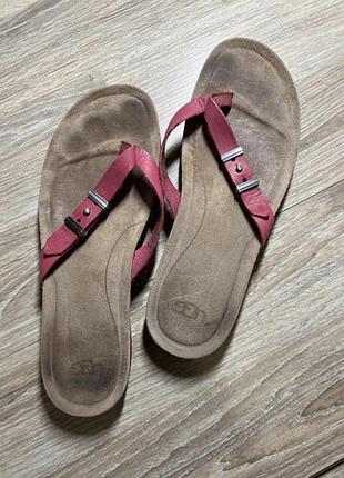 Шльопанці ugg 39/24,5-25,5