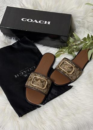 Шльопанці coach в наявності