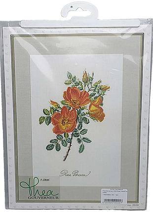 Б/у thea gouverneur 2028 rose chazal/троянда шазал