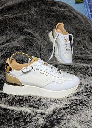 Жіночі шкіряні кросівки carvela 38,5-39 розмір