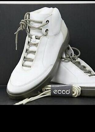 Кросівки ecco