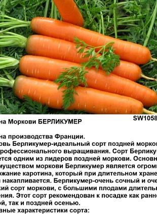 Семена моркови берликумер