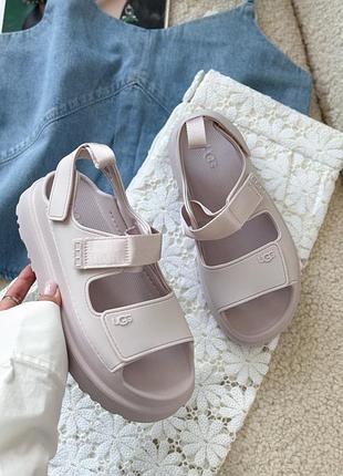 Стильні ugg оригінал