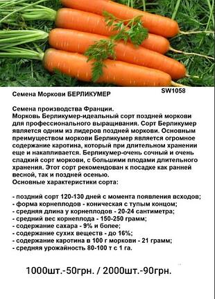 Семена моркови берликумер 2