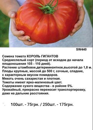 Насіння томата король гігантів