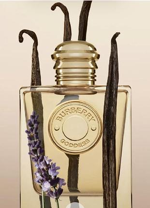 Burberry goddes 2