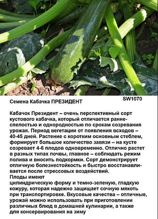 Семена цукини президент