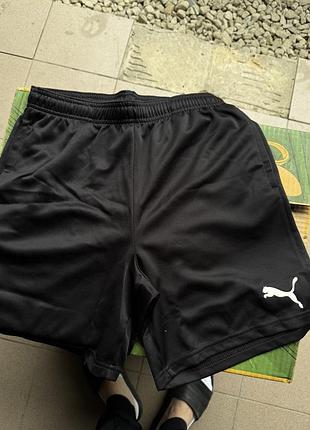 Шорти puma оригінал