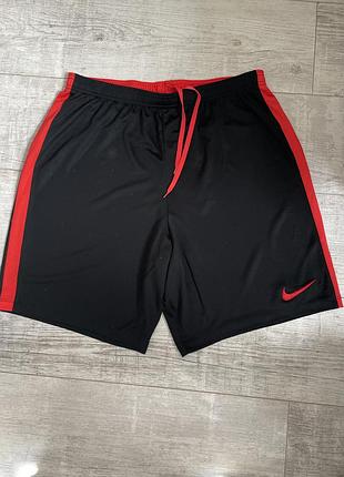 Чоловічі шорти nike dri-fit strike