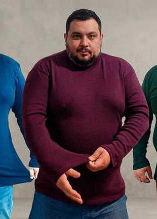 Батальная водолазка мужская однотонная 8xl , гольф мужской базовый однотонный огромного размера 68р эффект термобелья