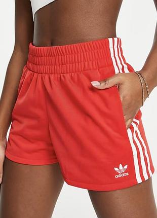 Спортивні шорти adidas originals adicolor three stripe