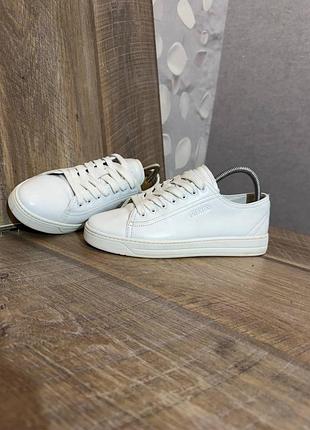 Кросівки prada 37,5/24см