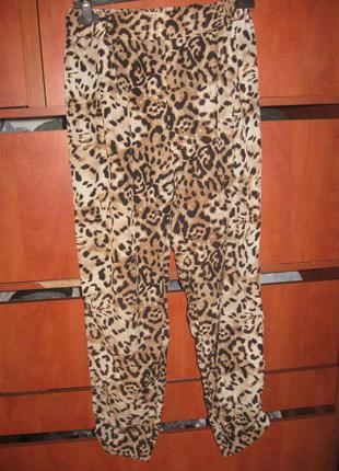 Штаны бананы леопард