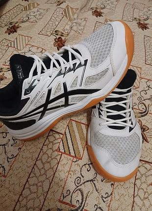 Кроссовки asics мужские,сетка в очень хорошем состоянии
