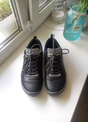 Ecco biom train (арт. 801514) titanium metallic / black.