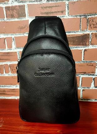 Сумка кожа backpack 603 (100)