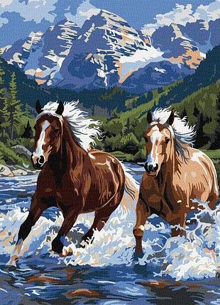 Картина за номерами - сила у русі ©art_selena_ua идейка 40х50 см (kho6830)