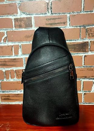 Сумка кожа backpack 604 (100)