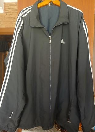 Вітровка adidas