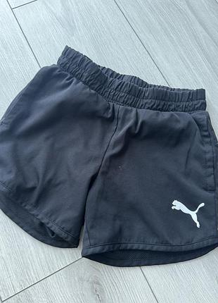 Шорты puma