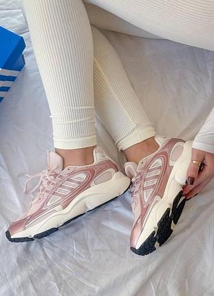 Жіночі кросівки adidas ozmillen w pink