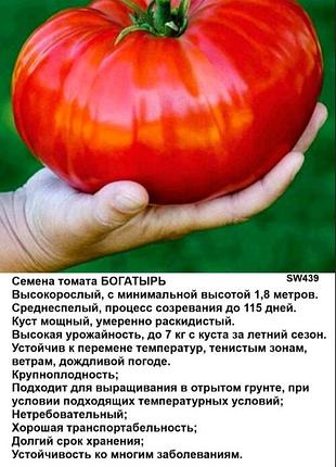 Семена томата богатырь