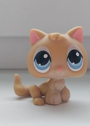 Lps littlest pet shop іграшка фігурка кошеня кошенятко кіт кішка котик лпс літтлест пет шоп петшоп фігурки іграшки дитячі littelest pet shop petshop