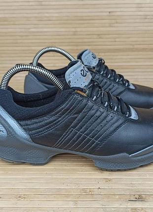 Кроссовки ecco biom размер 38 (24,5 см.)