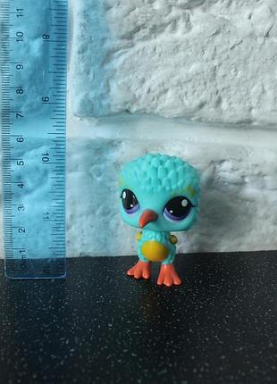 Фігурка littlest pet shop у вигляді птаха ківі.
