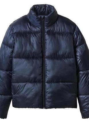 Куртка демісезонна утеплена (термо) для дівчинки pepperts by esmara kids 518496 134-140 см (8-10 years) темно-синій